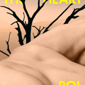 Napalm In The Heart 'Innovative And Original' Colm Toibin