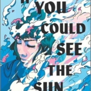 If You Could See The Sun