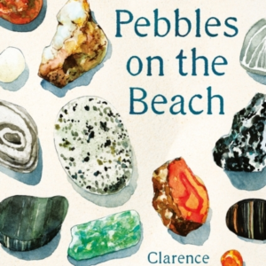 The Pebbles On The Beach