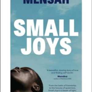 Small Joys A Buzzfeed 'Amazing New Book You Need To Read Asa