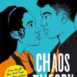 Chaos Theory The Brand-New Novel From The Bestselling Author