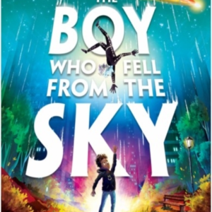 The Boy Who Fell From The Sky