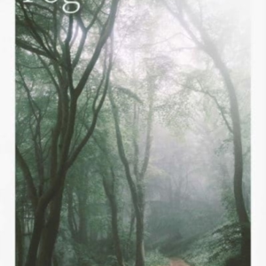 Chasing Fog Finding Enchantment In A Cloud