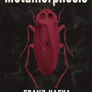 Metamorphosis Illustrated By Gaby Verdooren
