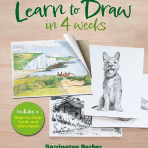 Learn To Draw In 4 Weeks Includes A Step-By-Step Guide And S
