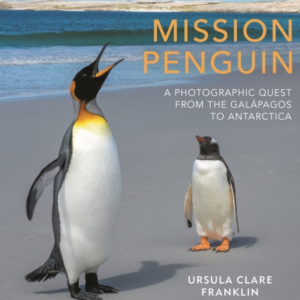 Mission Penguin A Photographic Quest From The Galapagos To A