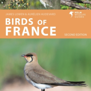 Birds Of France