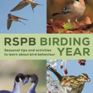 Rspb Birding Year Seasonal Tips And Activities To Learn Abou