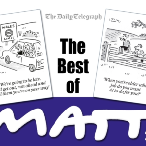 The Best Of Matt 2024
