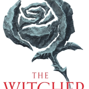 Blood Of Elves The Bestselling Novel Which Inspired Season 2
