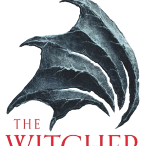 Sword Of Destiny Tales Of The Witcher  -  Now A Major Netflix