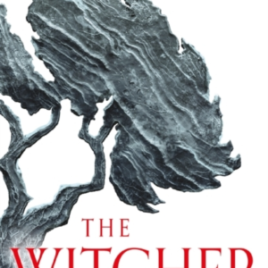 Baptism Of Fire Witcher 3  -  Now A Major Netflix Show