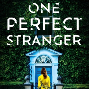 One Perfect Stranger An Utterly Gripping Psychological Thril