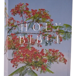 Nrsv Catholic Edition Bible, Royal Poinciana Paperback Globa