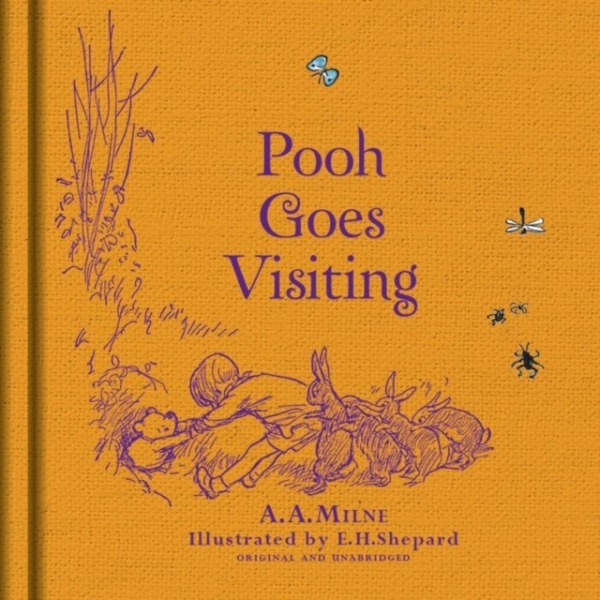 Winnie-The-Pooh: Pooh Goes Visiting