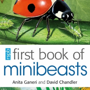 Rspb First Book Of Minibeasts