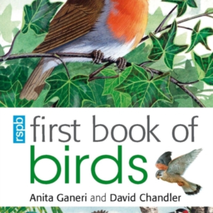 Rspb First Book Of Birds