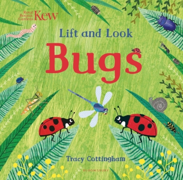 Kew: Lift And Look Bugs