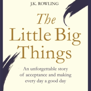The Little Big Things The Inspirational Memoir Of The Year