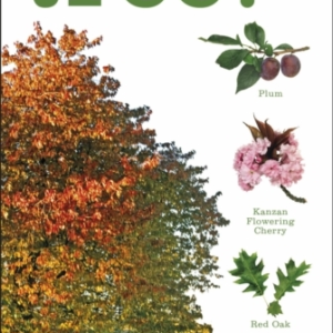 What's That Tree? The Simplest Id Guide Ever