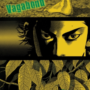 Vagabond Vizbig Edition, Vol. 3