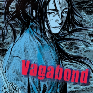 Vagabond Vizbig Edition, Vol. 6