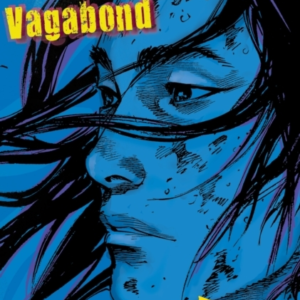Vagabond Vizbig Edition, Vol. 7