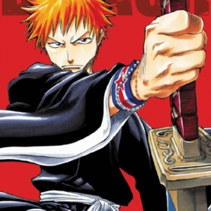 Bleach 3-In-1 Edition, Vol. 1 Includes Vols. 1, 2 & 3