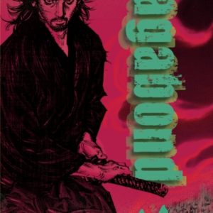 Vagabond Vizbig Edition, Vol. 11