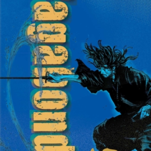 Vagabond Vizbig Edition, Vol. 12