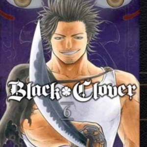 Black Clover, Vol. 6