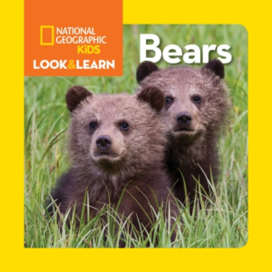 Look And Learn: Bears