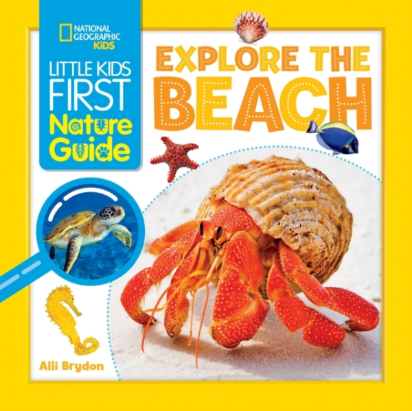 Explore The Beach