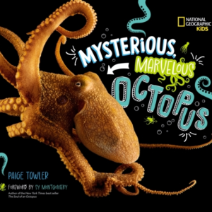 Mysterious, Marvelous Octopus