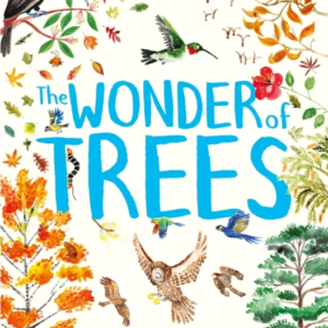 The Wonder Of Trees
