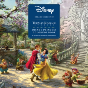 Disney Dreams Collection Thomas Kinkade Studios Disney Princ