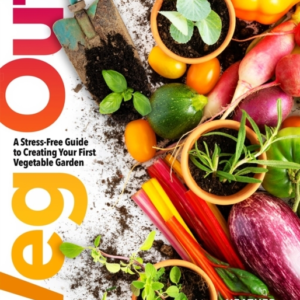 Veg Out A Stress-Free Guide To Creating Your First Vegetable