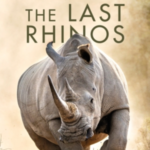 Saving The Last Rhinos The Life Of A Frontline Conservationi