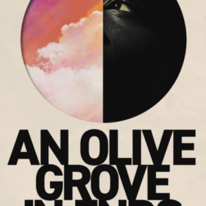 An Olive Grove In Ends The Dazzling Debut Novel About Love,