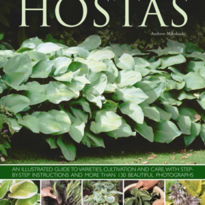 Hostas An Illustrated Guide To Varieties, Cultivation And Ca