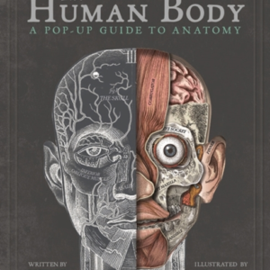 The Human Body A Pop-Up Guide To Anatomy