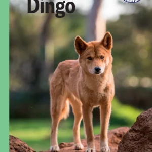 Dingo, Grøn Fagklub