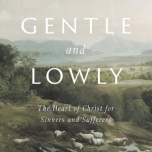 Gentle And Lowly The Heart Of Christ For Sinners And Suffere