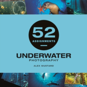 52 Assignments: Underwater Photography