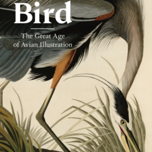The Bird The Great Age Of Avian Illustration