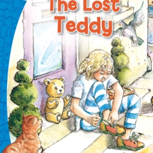 The Lost Teddy