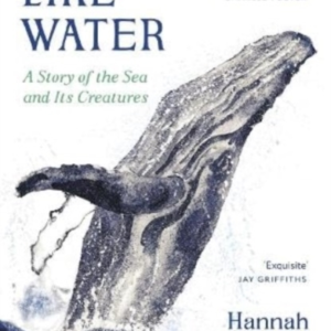 Move Like Water A Story Of The Sea And Its Creatures