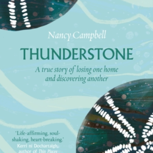 Thunderstone A True Story Of Losing One Home And Finding Ano