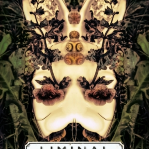 Liminal