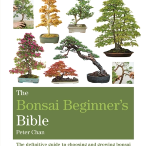 The Bonsai Beginner's Biblethe Definitive Guide To Choosing